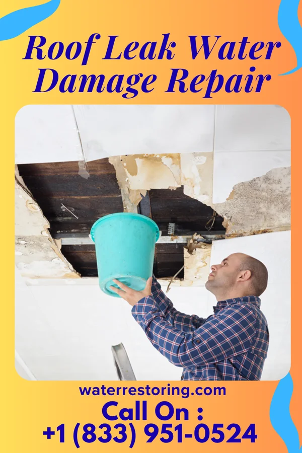 Roof Leak Water Damage Repair in Kings Point, MT